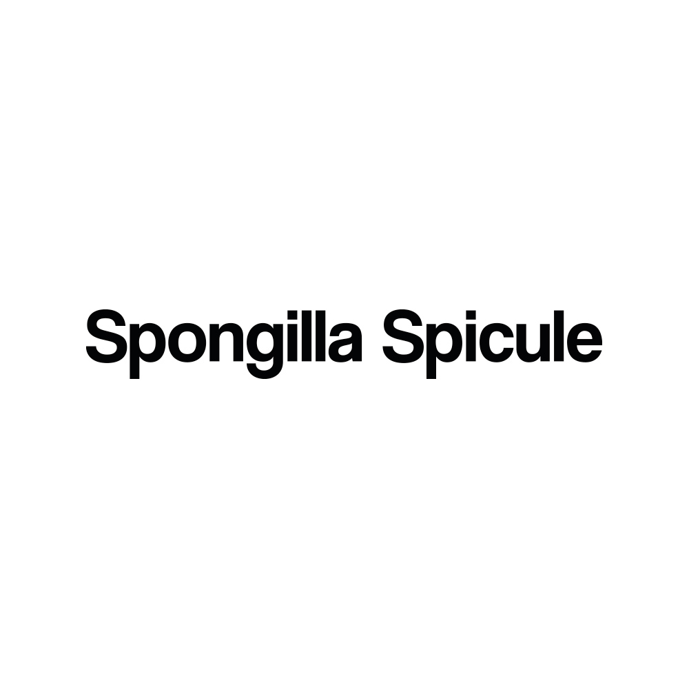 Spongilla Spicule od MESOTECH je inovativní bio-mikrojehličková technologie založená na mikroskopických strukturách sladkovodních hub, která podporuje přirozenou obnovu a regeneraci pokožky. Tyto přírodní spikuly vytvářejí jemnou mikroexfoliaci a kontrolovanou stimulaci epidermis, čímž zvyšují buněčnou obnovu a zlepšují texturu pleti. Současně zvyšují vstřebávání aktivních látek a zlepšují účinnost profesionálních ošetření zaměřených na akné, pigmentace, jizvy i anti-aging.